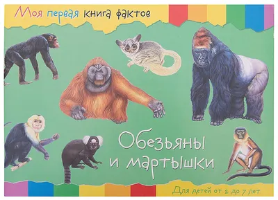 Забавные обезьяны в рисунках: коллекция фотографий для детей и взрослых