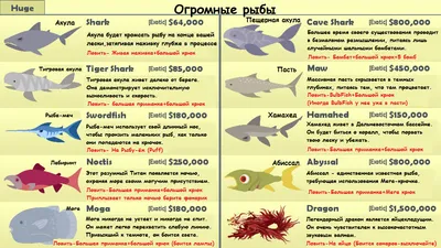 Прекрасные изображения рыб для скачивания