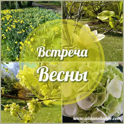 17) Картинки Встреча весны: Скачайте бесплатно красивые изображения в хорошем качестве