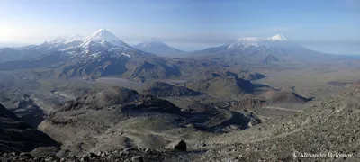 Фотографии Вулкана безымянного: Природа великого вулкана