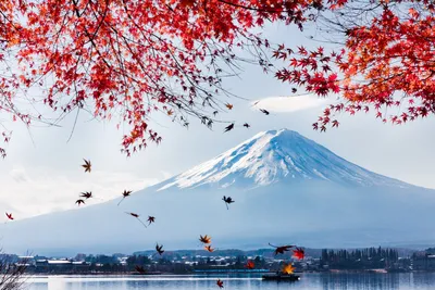 Вулкан Фудзияма в разных ракурсах: Выберите размер