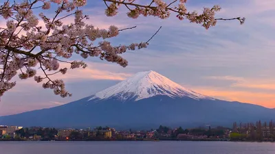 Вулкан Фудзияма: Очарование природы в 4K