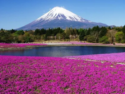 Вулкан Фудзияма в объективе: Фотографии с потрясающими деталями