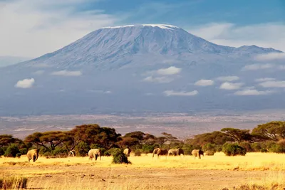 Собери коллекцию: Фото Вулкана Килиманджаро