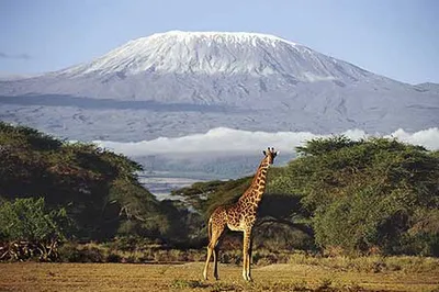 Впечатляющие изображения Вулкана Килиманджаро