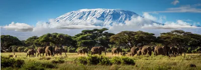 Величественный Вулкан Килиманджаро: Впечатляющие фотографии