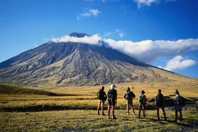 Заснеженные вершины Килиманджаро: Взгляд с высоты