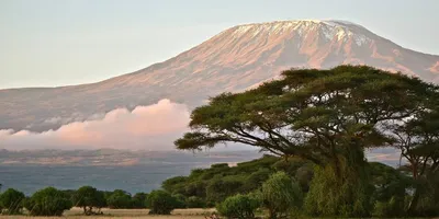 Путешествие к Вулкану Килиманджаро: Фотоотчёт