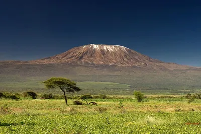 Поднимаясь к облакам: Удивительные фотографии Килиманджаро