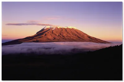 Путешествие в страну Килиманджаро: Фотографии приключений