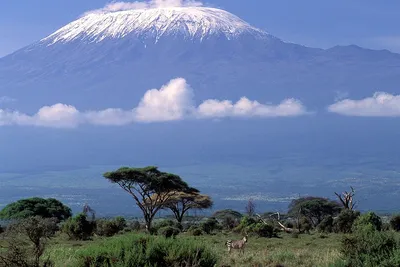 Килиманджаро в объективе фотографа: Красота вулкана