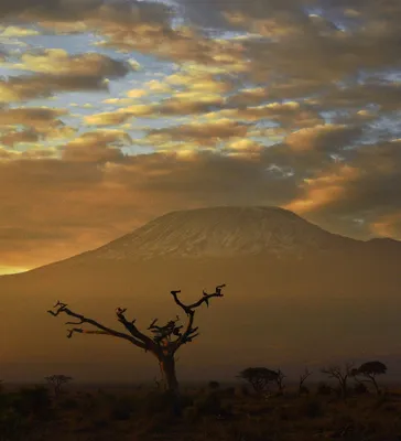 Поднимитесь выше облаков: Фото Вулкана Килиманджаро