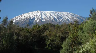Природное великолепие Килиманджаро: Фотографии путешествия