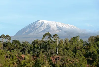 Картинка вулкана килиманджаро