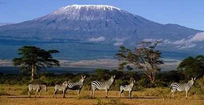 Фотографии Килиманджаро в Full HD качестве на 2024 год.