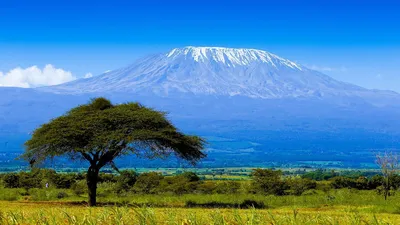 Вулкан Килиманджаро: фотографии и обои