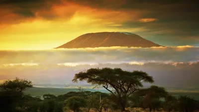 Изображения вулкана Килиманджаро в HD качестве.