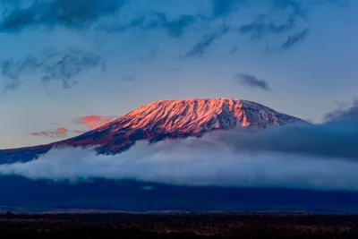 Обои с видом на Килиманджаро на ios.