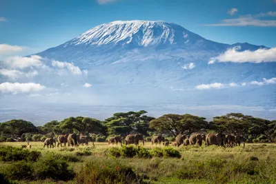 Подробные изображения Вулкана Килиманджаро