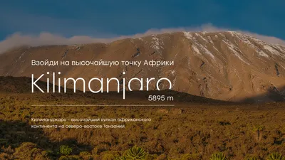 Фон с изображением вулкана Килиманджаро.