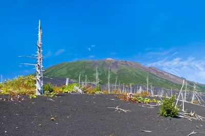 Фотографии природного чуда - вулкан Тятя