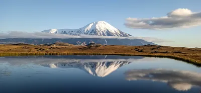 Огненные струи и лавовые потоки: фото Вулкана Толбачик