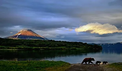 Фото величественных вулканов Камчатки в HD качестве