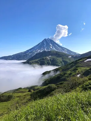 Рисунки величественных вулканов Камчатки: 2024 год