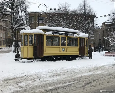 Зимнее Путешествие по Выборгу: Фотографии Снежных Прогулок