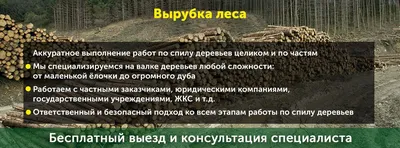 Фотографии вырубки деревьев на фон