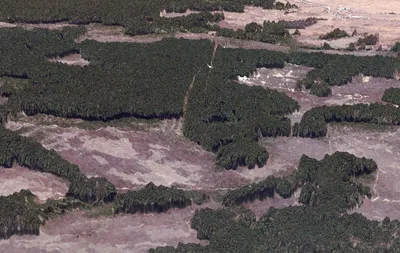 Фото вырубленных лесов в Сибири, снятых со спутника