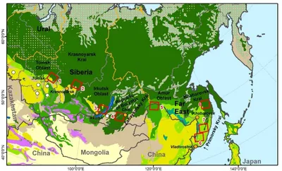 Леса Сибири под угрозой: мрачные фото вырубки с космической высоты