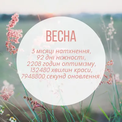 Красивые изображения весны