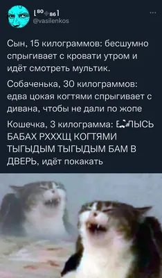 Необычные фотографии с надписями, которые вызовут у вас улыбку!