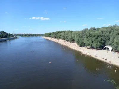 Откройте для себя прекрасный Заельцовский пляж через фотографии