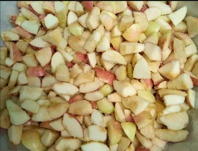 Яблочные заготовки для пирогов на зиму: различные фото