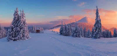 Фотографии Закарпатья зимой: Живописные горы и леса