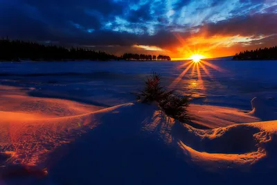 Волшебные оттенки: Закат солнца зимой
