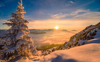 Фотогеничная зима: Закат солнца на зимнем фото