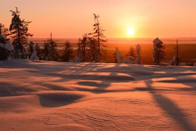 Магия холода: Изображение заката солнца зимой