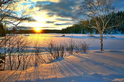 Зимняя красота в каждом луче: Картинка заката зимой
