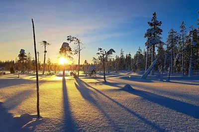 Солнце в объятиях зимы: Фотка заката с зимним акцентом