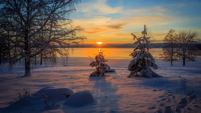 Зимний вечер в свете заката: Изображение заката солнца