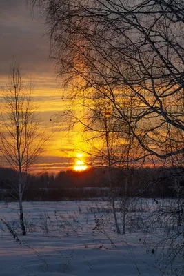 Зимнее волшебство в каждом луче: Фото заката солнца