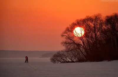 Зимний портрет заката: Фотография солнца на зимнем пейзаже