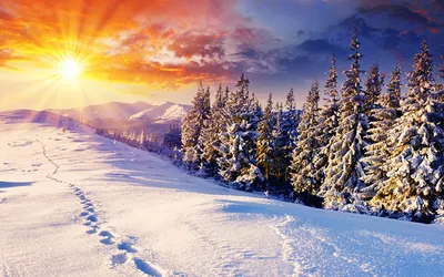 Сияющая зима: Закат солнца на изображении