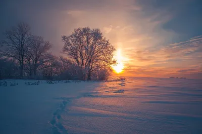 Зимняя сказка: Фотография заката на фоне снежного покрова