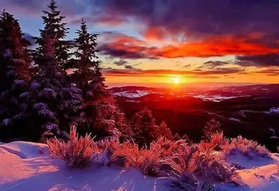 Искусство морозного вечера: Картинка заката солнца зимой