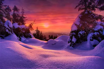 Ледяной огонь: Закат солнца в холодных оттенках