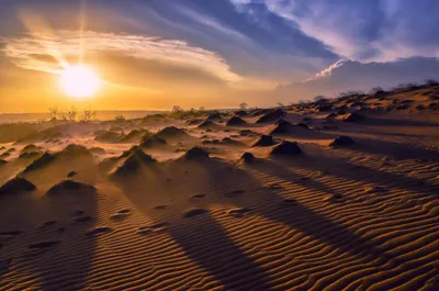 Закат в пустыне  фото